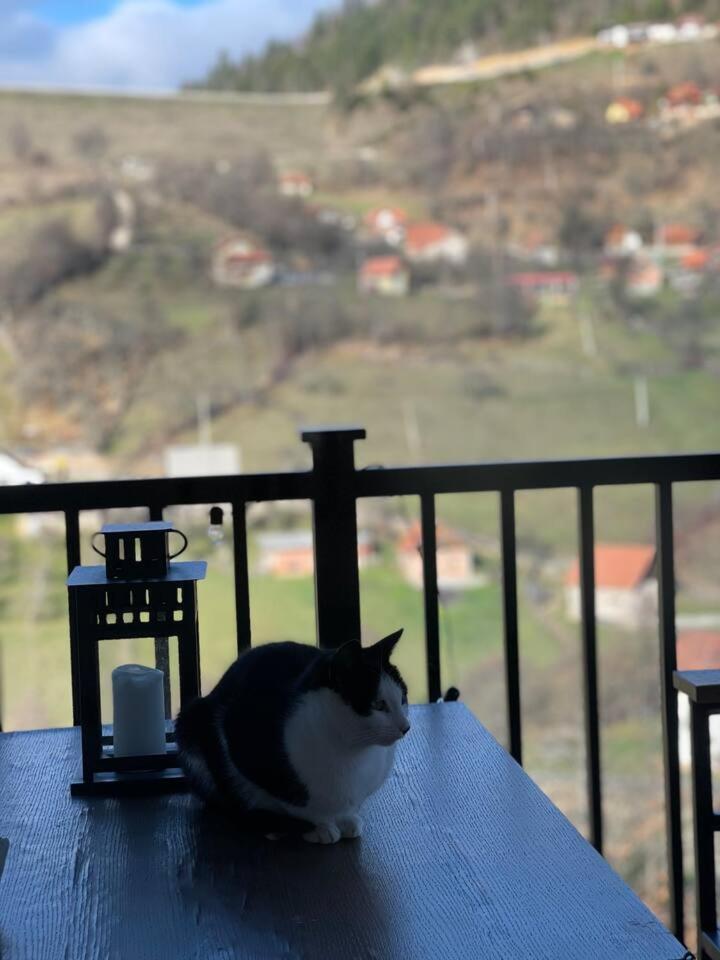 Vila Maslacak Popovići 외부 사진